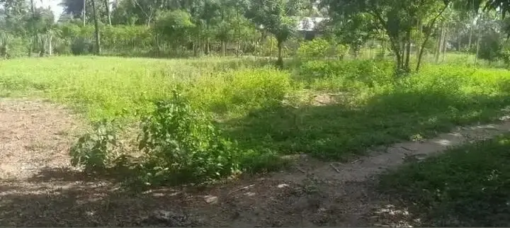 Land in Kilifi - Mavueni